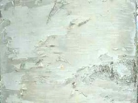 �V���J���o��
